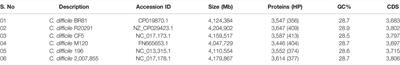 In Silico Characterization of Uncharacterized Proteins From Multiple Strains of Clostridium Difficile